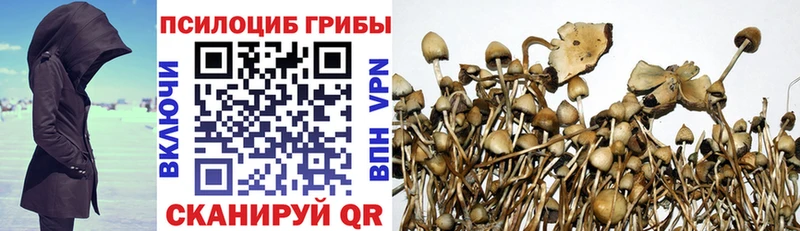 Галлюциногенные грибы прущие грибы  Богданович 