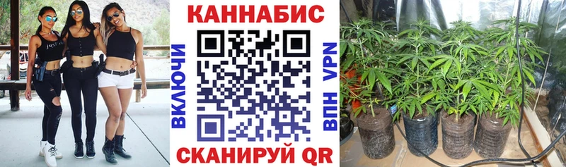 kraken как войти  Богданович  Марихуана Amnesia 